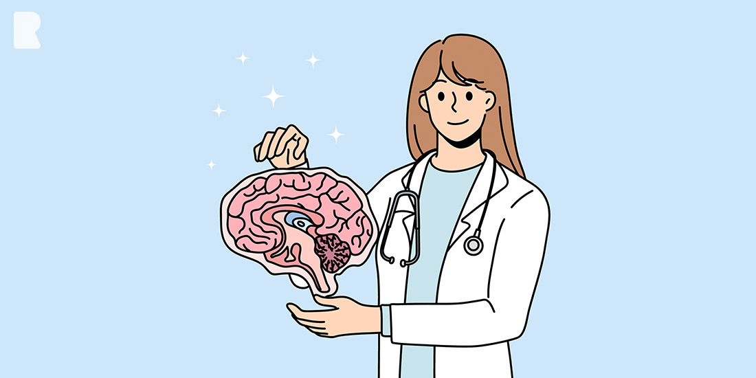 Does brain size correlate to intelligence?